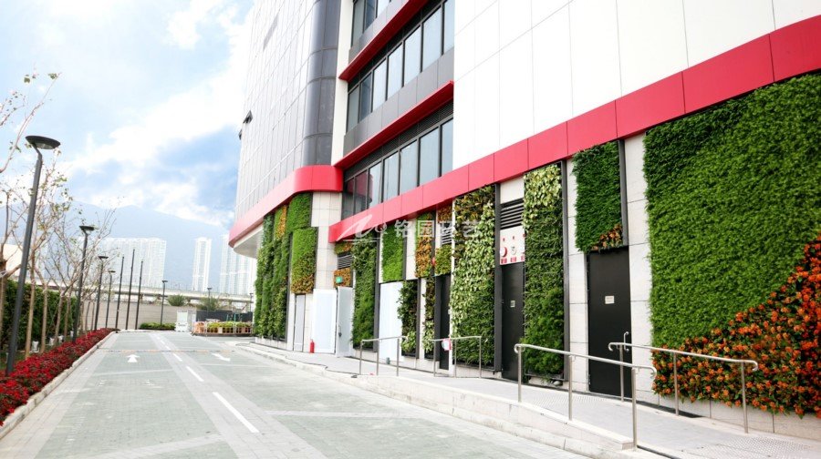 建筑外墙垂直绿化