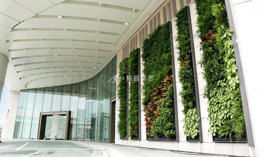 建筑外墙垂直绿化