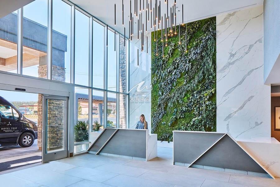公装室内垂直绿化