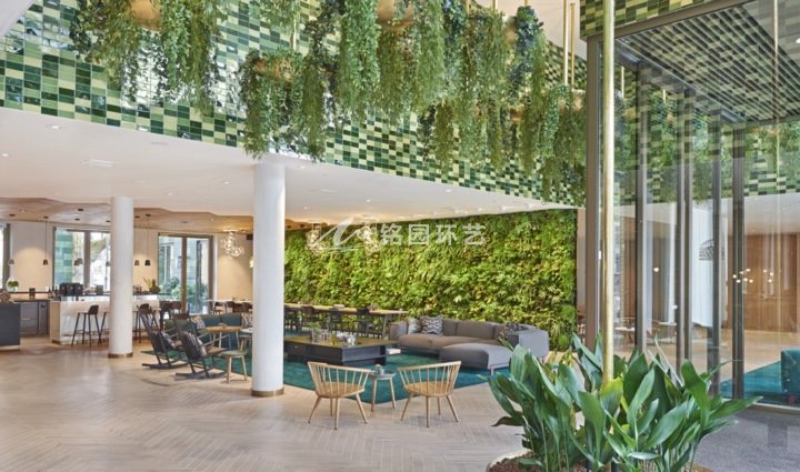 酒店室内植物墙