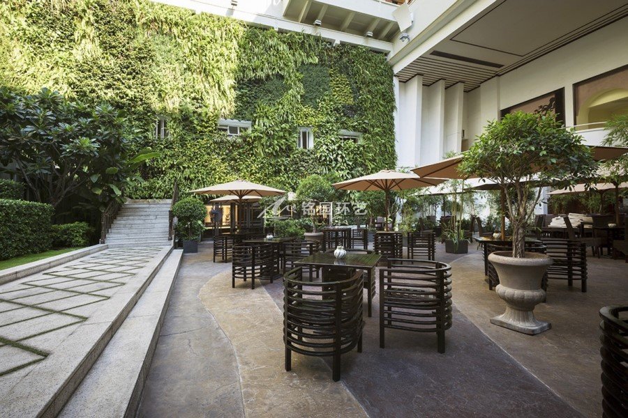 星级酒店休闲用餐区域植物墙景观案例