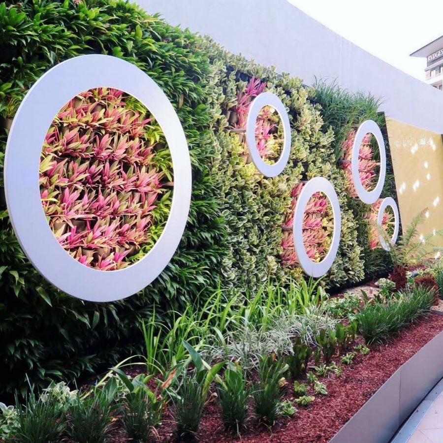 庭院植物墙
