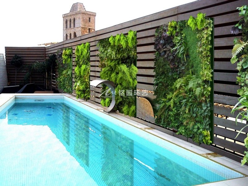 泳池垂直绿化