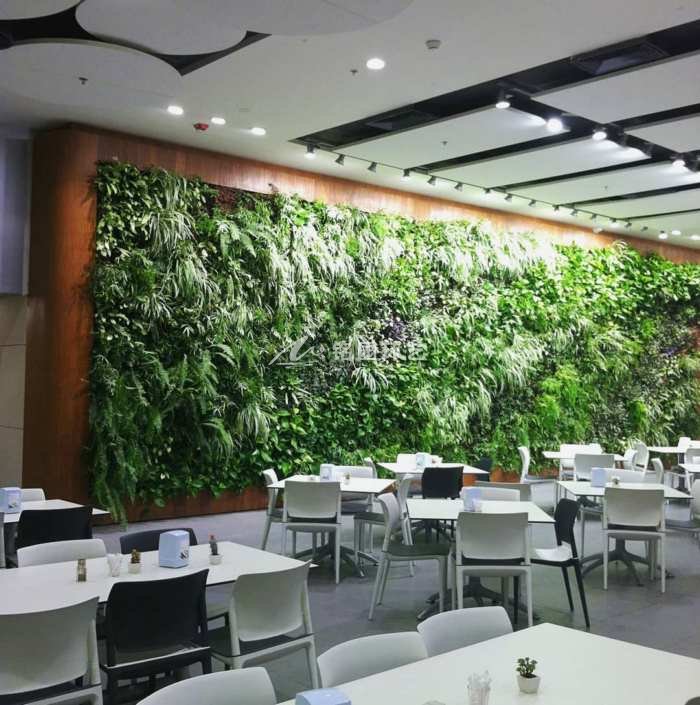 植物墙施工工艺方法