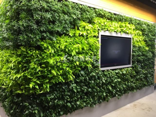 电视背景植物墙