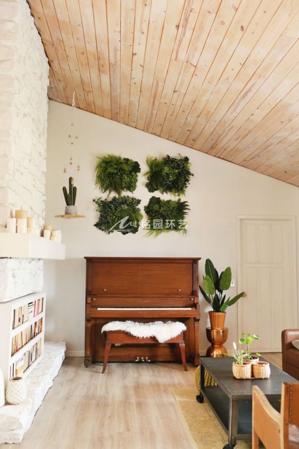 室内客厅植物墙