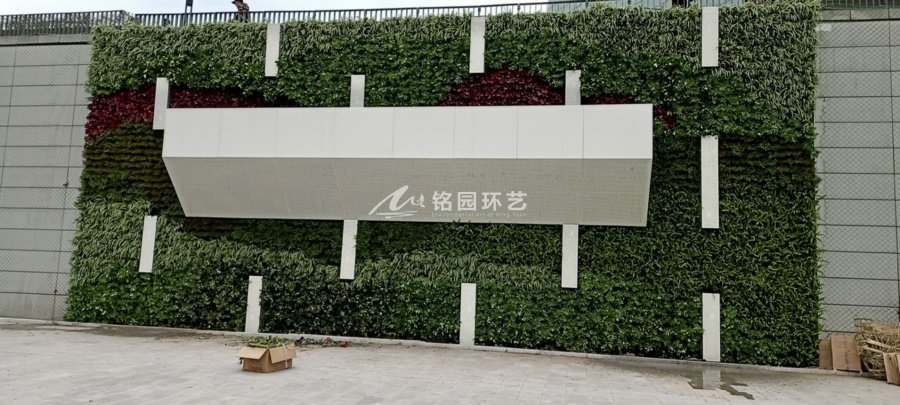 重庆大剧院外墙植物墙