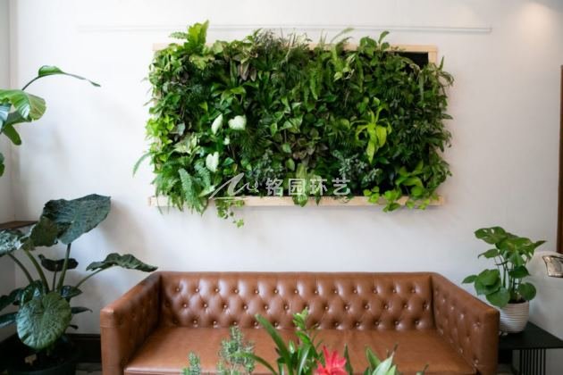 沙发背景植物墙设计案例