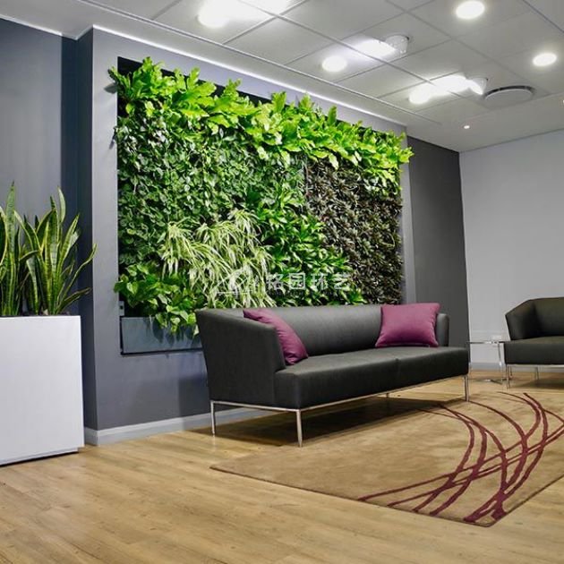 沙发背景植物墙设计案例