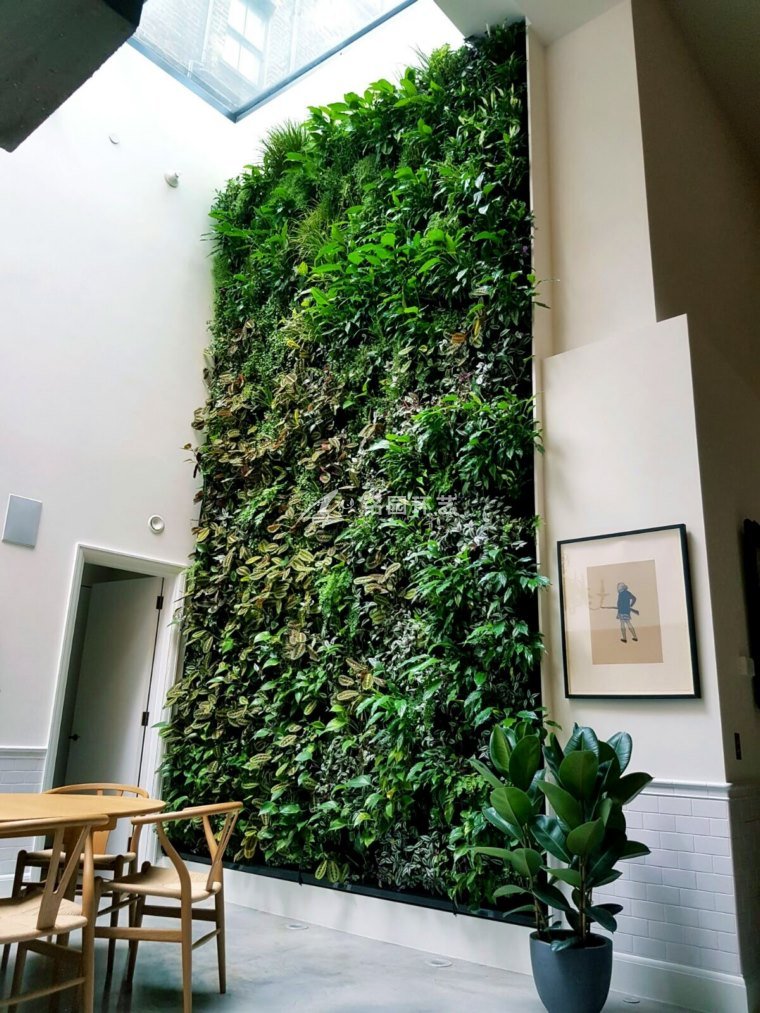 室内植物墙设计