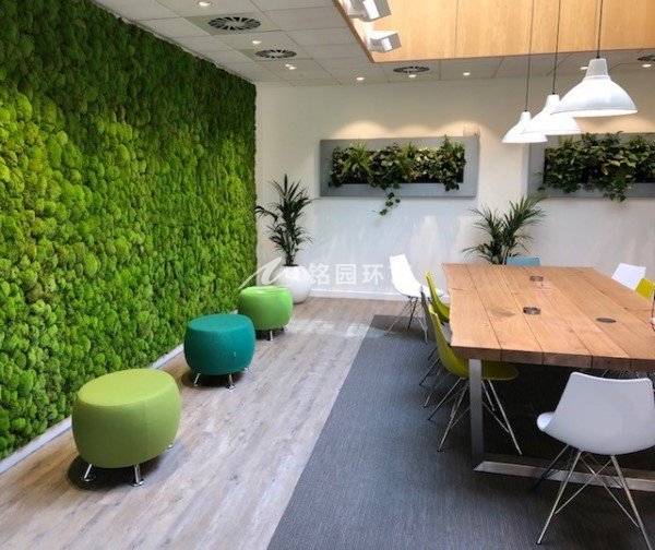 会议室室内植物墙