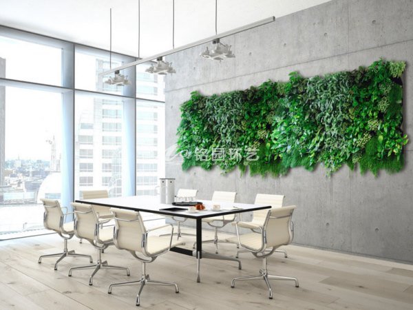 会议室室内植物墙