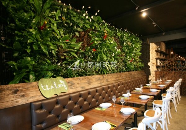 餐厅餐吧植物墙