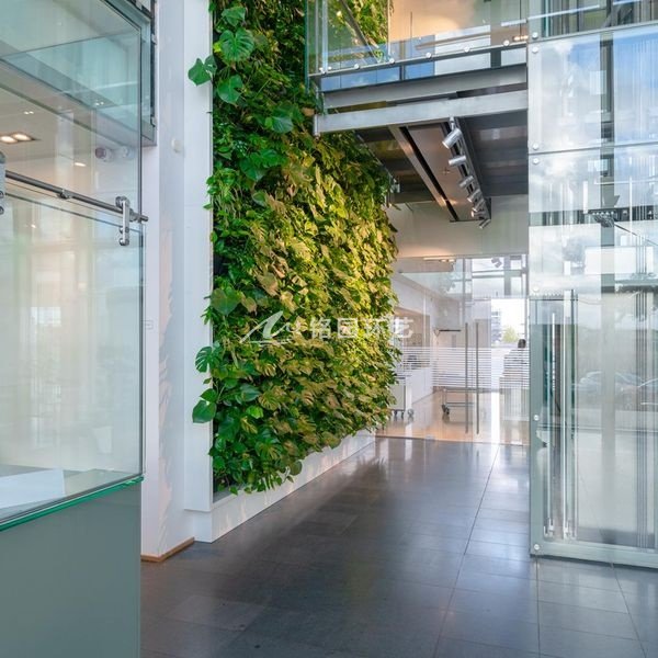 办公室垂直绿化植物墙