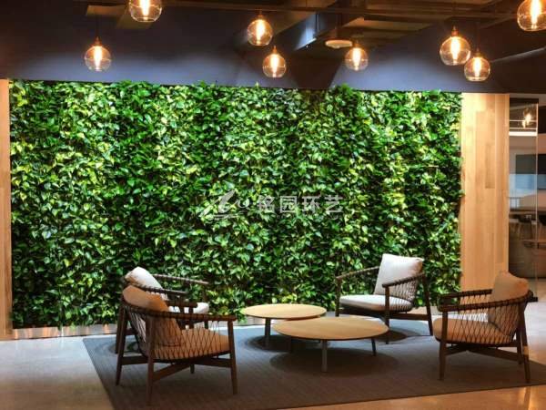 办公室垂直绿化植物墙