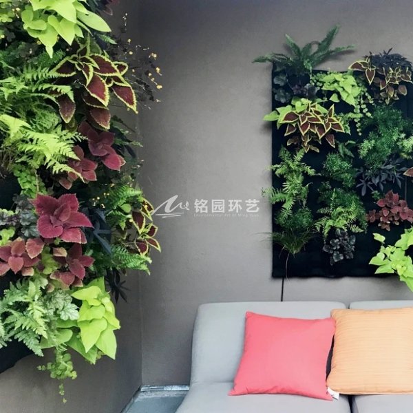 植物墙类型