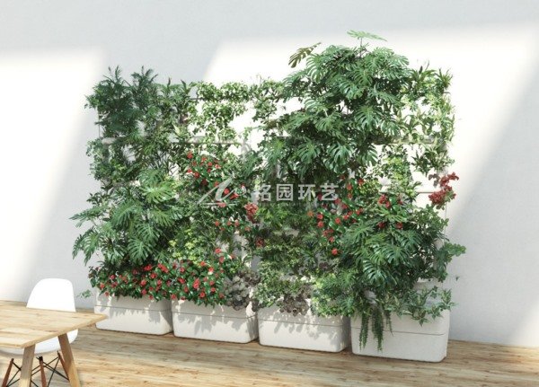 植物墙类型