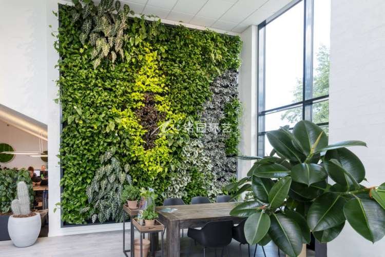 植物墙设计方案