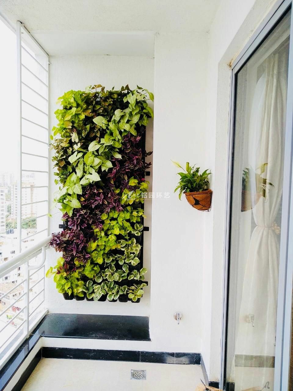 绿化植物墙设计