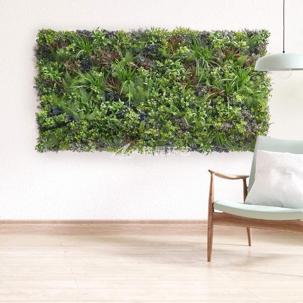 室内植物墙如何改善环境