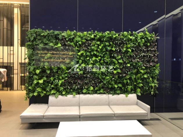 提高室内植物墙品质