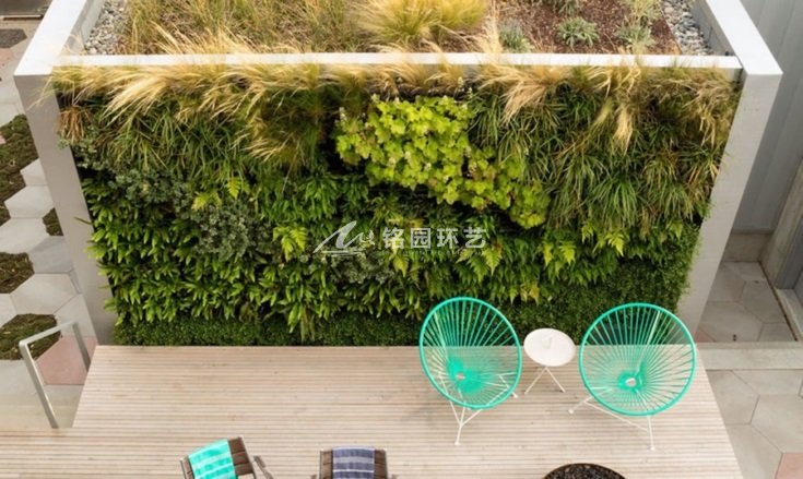 庭院绿化植物墙