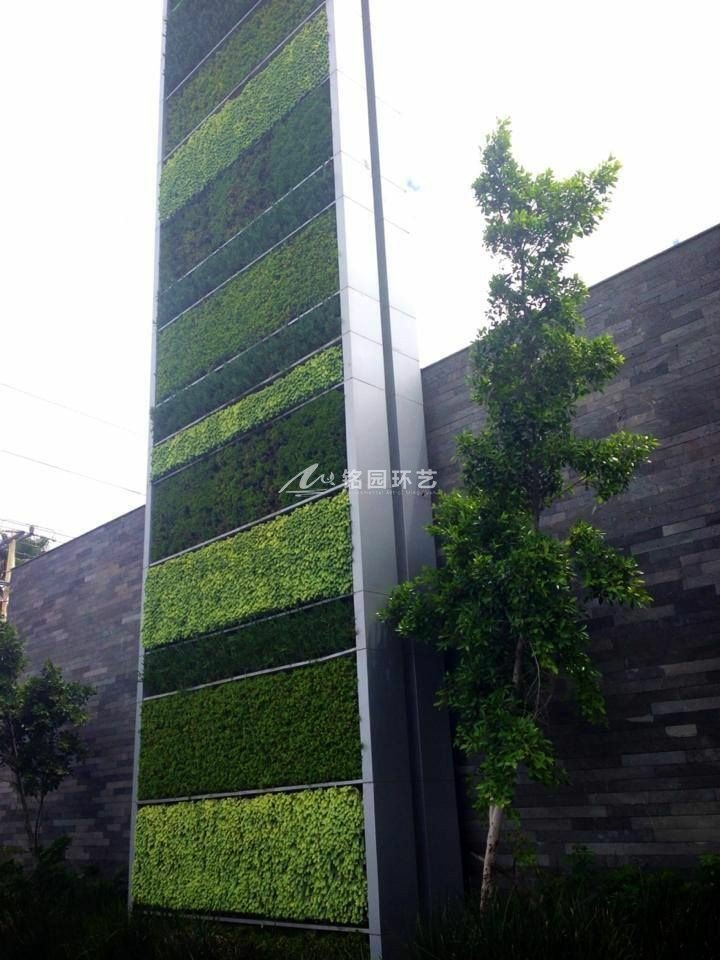 垂直绿化怎么做