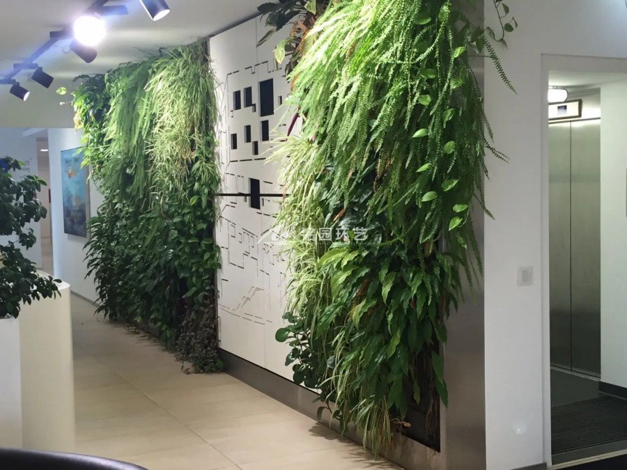 办公室室内植物墙