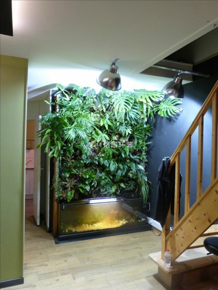 室内植物墙定制