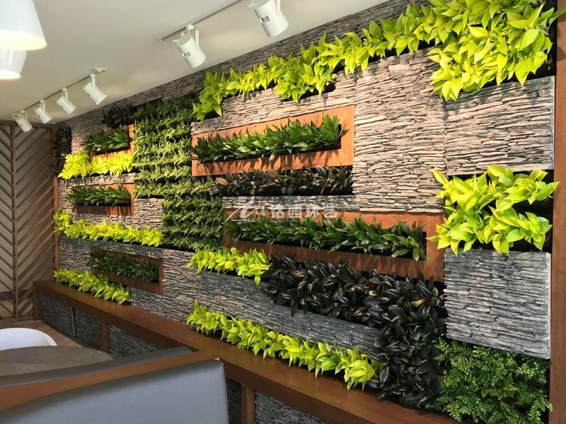 立体绿化植物墙施工 室内植物墙除虫妙招 行业资讯 天海铭园植物墙