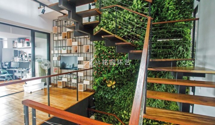 垂直绿化植物墙植物搭配