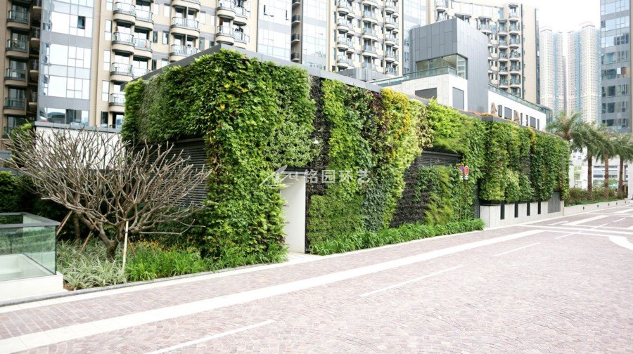 植物墙制作条件
