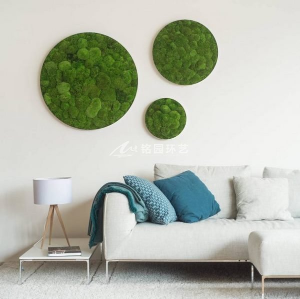 室内垂直绿化植物墙