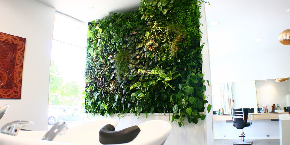 美发空间植物墙