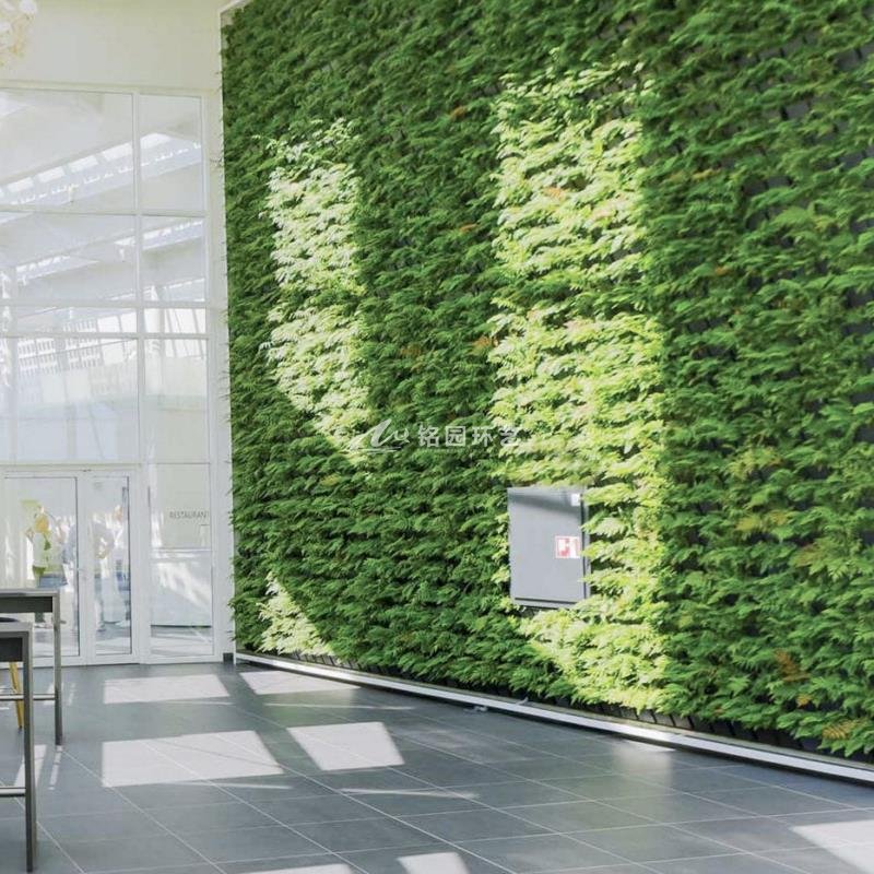 商业室内植物墙景观