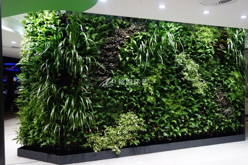 商业室内植物墙景观