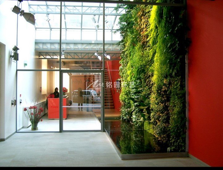 室内垂直绿化设计