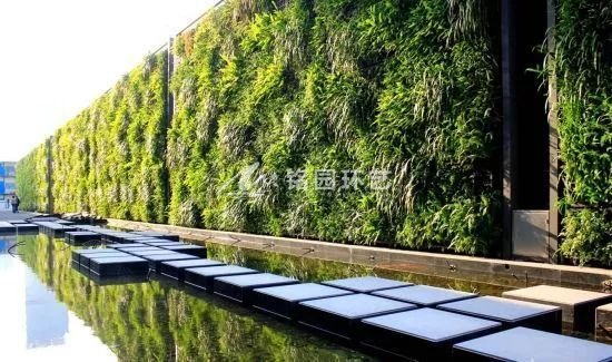 垂直植物墙图：独具魅力的城市植物墙
