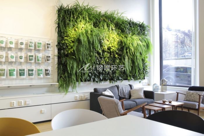 室内装修搭配植物墙景观