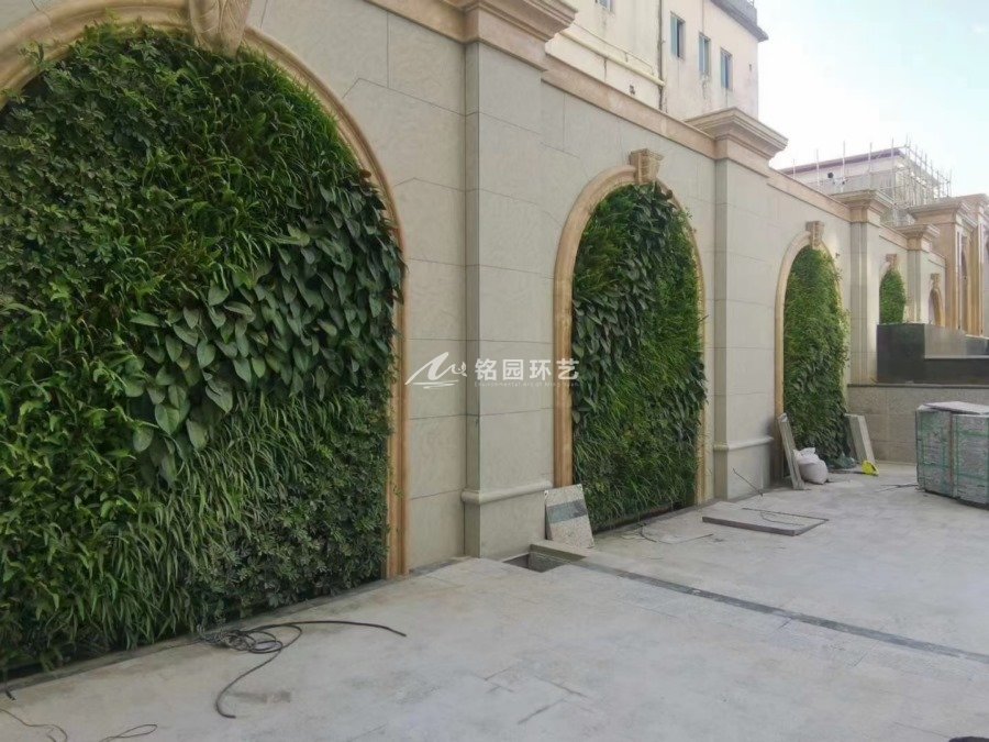 都江堰韵舍酒店外立面植物墙，室内外墙面景观