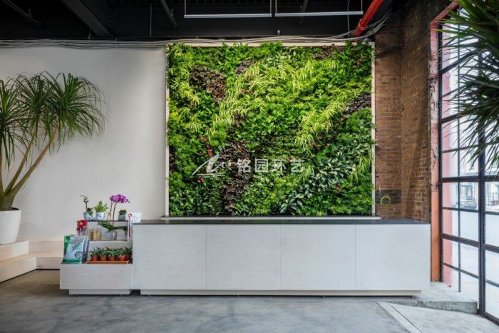 未来室内植物墙