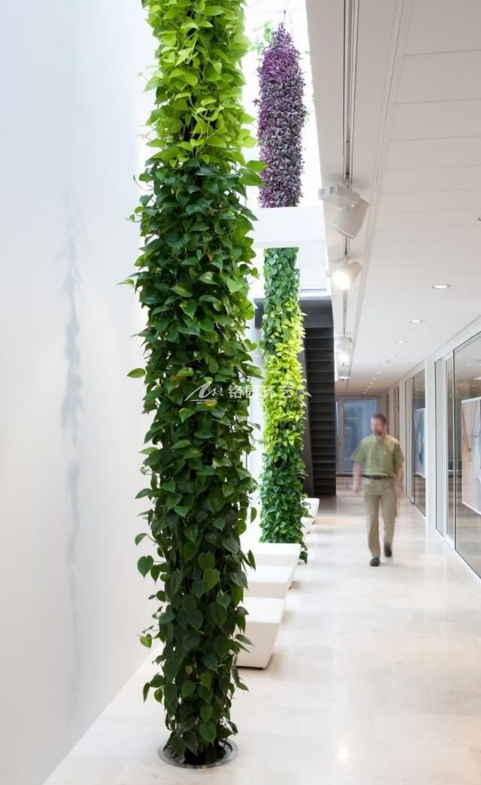 植物柱垂直绿化，7个经典案例分享！