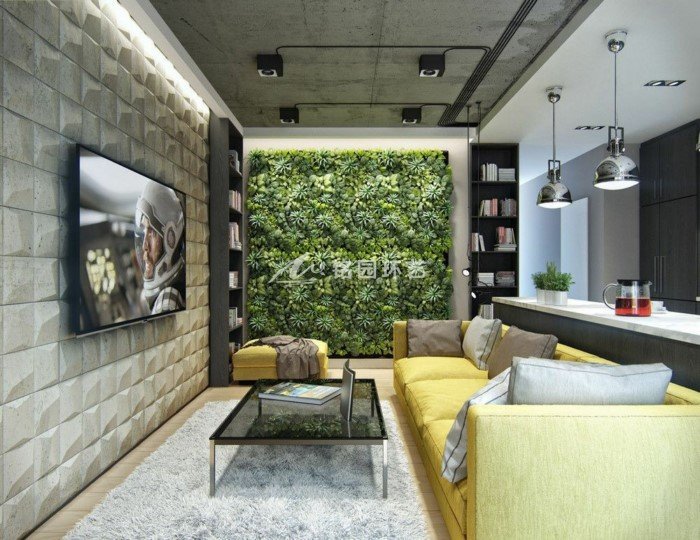 低成本室内植物墙方案