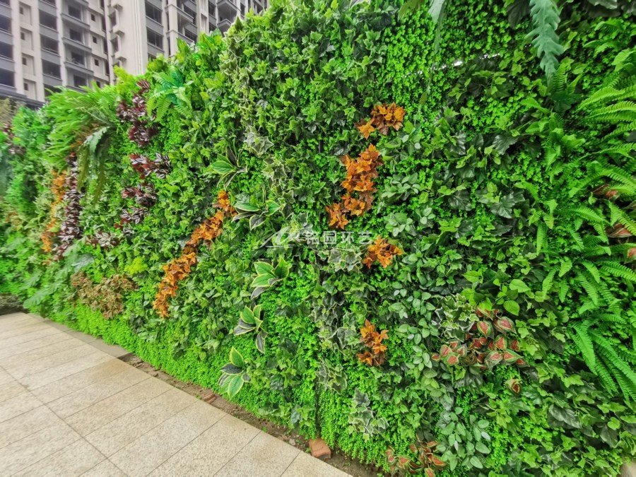 房地产植物墙