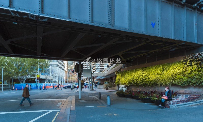 过街天桥垂直绿化