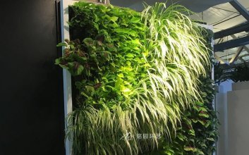 室内移动式植物墙