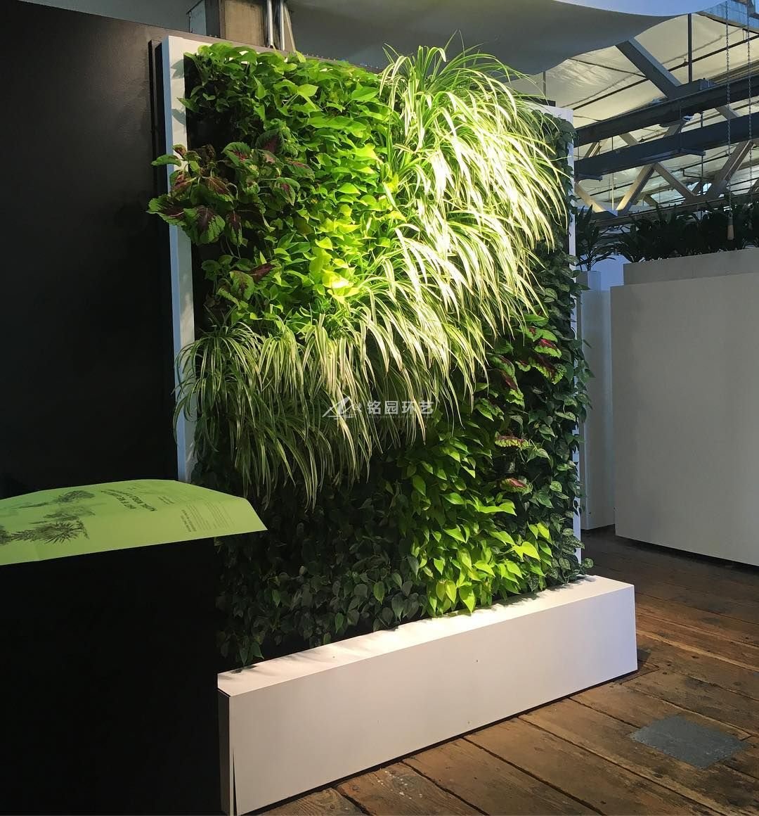 室内绿植_墙面装饰 塑料绿植墙 假植被装饰墙 - 阿里巴巴