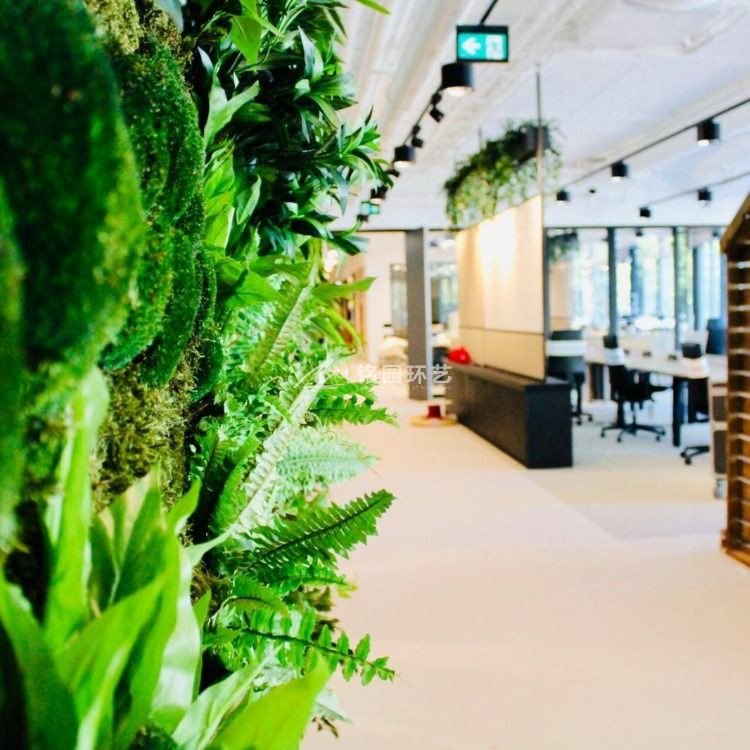 办公室苔藓+绿植植物墙景观