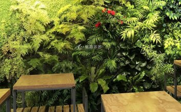 餐厅苔藓植物墙造景