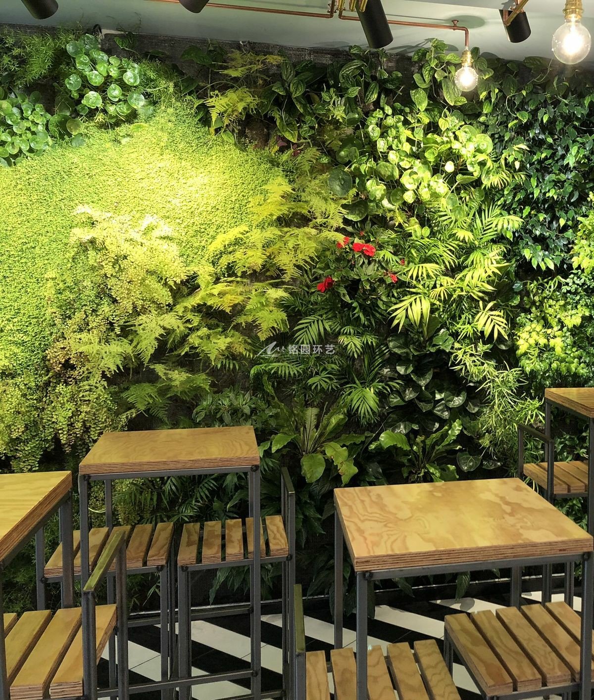 餐厅苔藓+植物墙造景景观